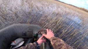 ВОТ ЭТО ОХОТА НА УТКУ! ДАВНО О ТАКОЙ МЕЧТАЛ. УТКИ ТУЧАМИ ЛЕТАЮТ.Осенняя охота на утку.