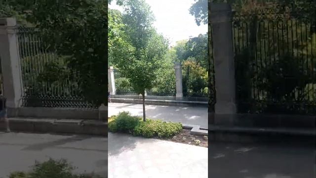 Museo del Prado, Madrid смотреть онлайн