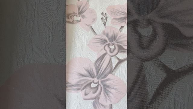 Коллекция Милагроса