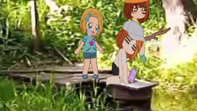 истории из жизни (ловлю тапки)