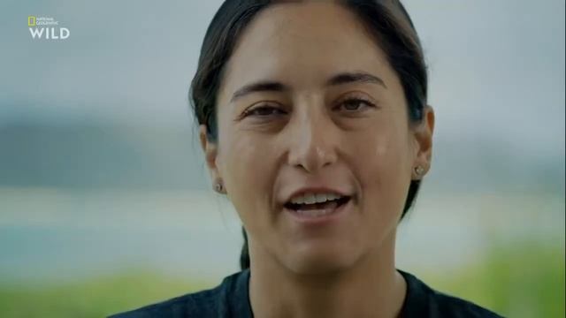 Самая большая в мире белая акула.    /NatGeoWild/    World's Biggest Great White?