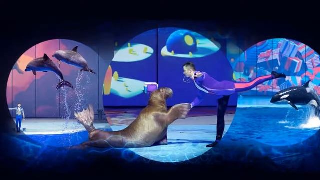 Снежная королева, космические пираты и шоу с косатками: куда пойти с детьми в декабре смотреть онлайн