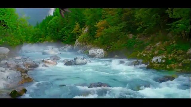 Hydrolife смотреть онлайн