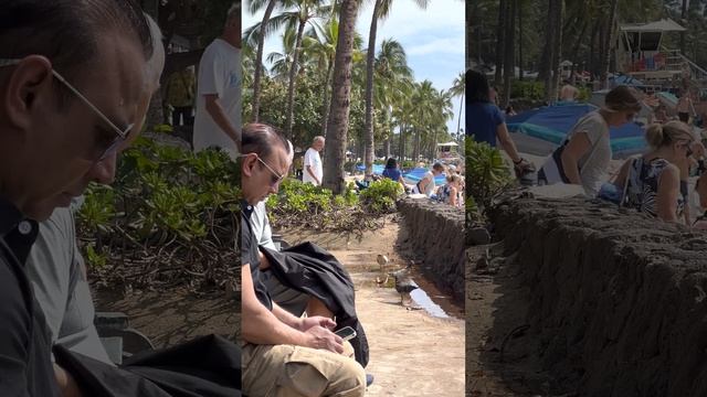 Февраль 2023 Пляж 🏖 Остров 🏝 Оаху Гавайи Гонолулу Вайкики смотреть онлайн