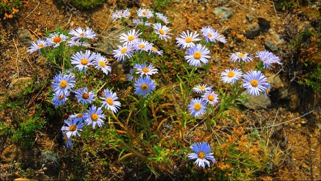 Остров Ольхон смотреть онлайн