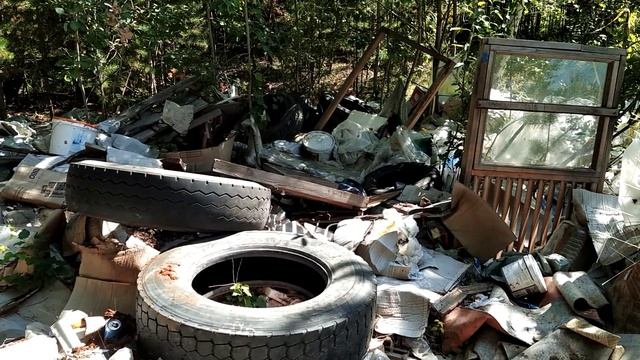 Помойка в лесу смотреть онлайн