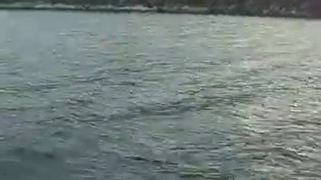 Кислогубская ПЭС 19.10.11