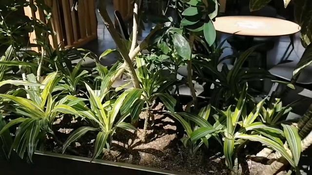 VLOG : ВЫХОДНЫЕ В ПИТЕРЕ 💗💦 смотреть онлайн