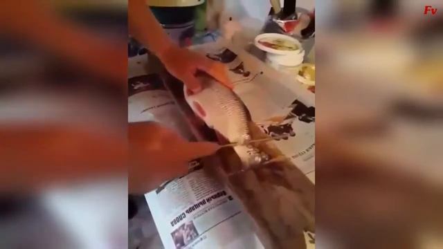 Рыбалка и рыба! Разные случаи и интересные лайфхаки