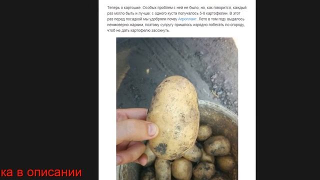 AGROPLANT комплексное гранулированное биоудобрение купить Дзержинск