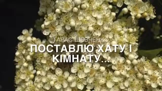 Тарас Шевченко 