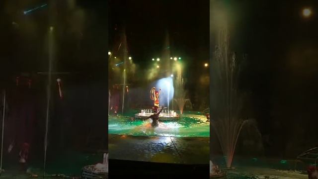 ЦИРК НА ВОДЕ В ТВЕРИ. КРАСИВОЕ ПРЕДСТАВЛЕНИЕ смотреть онлайн