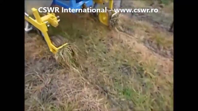 Fertilizator de substrat   ARRZ FERTIL AERA