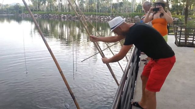 Покормили рыбок в нонгнуче смотреть онлайн