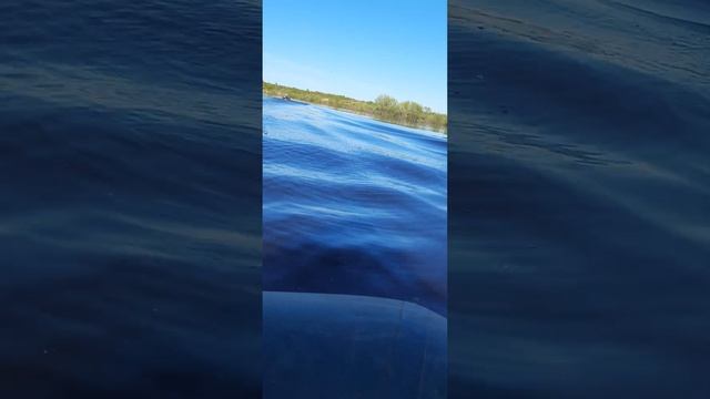 река 'Уй' Омская область Тарский район