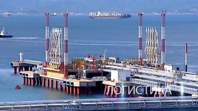 Промо Среда обитания