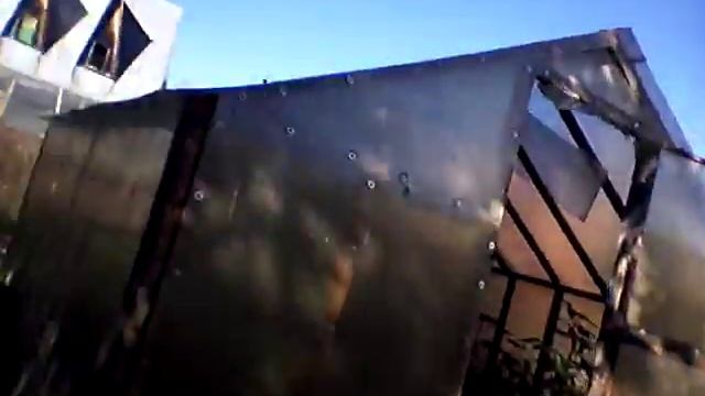 В ловле яшерицы