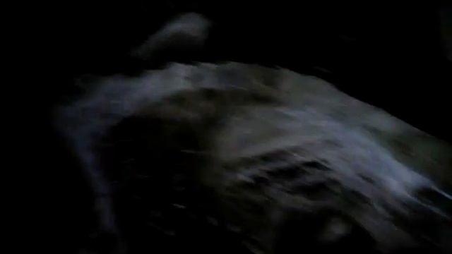 Жуткие кадры