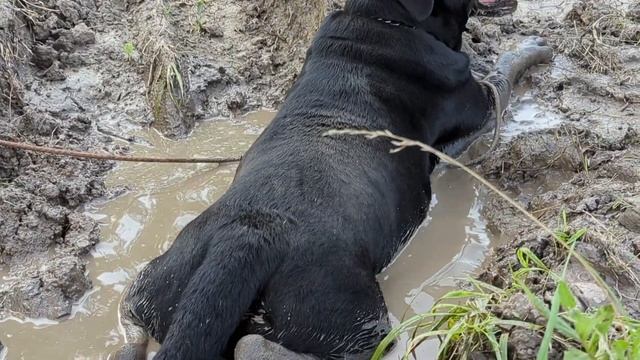 грязевые ванны смотреть онлайн