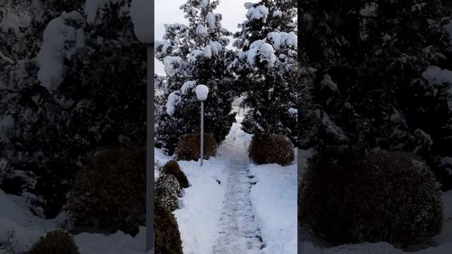 Лопата на колесах для чистки снега. смотреть онлайн