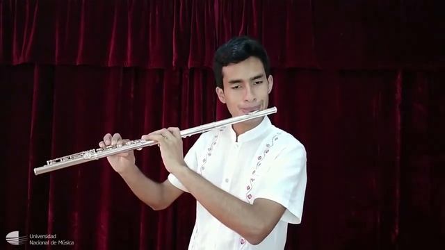 Recital 13 UNM: Flauta traversa смотреть онлайн