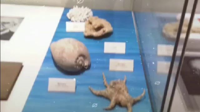 Были в музее Дарвина смотреть онлайн