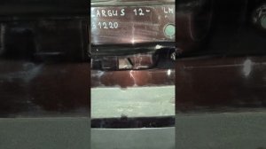 31220 Дверь задняя левая распашная Lada Largus