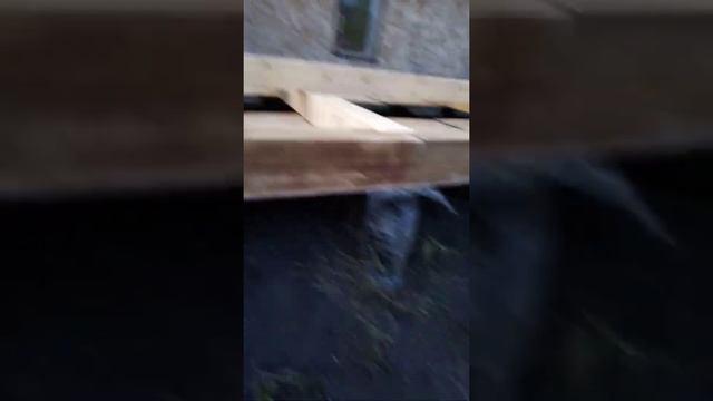 6-й день строительства дома из дерева (брус). смотреть онлайн