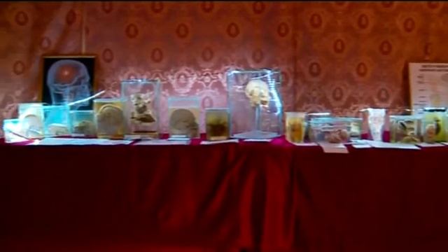 Выставка восковых фигур - «Утро с Вами» 05.07.2016