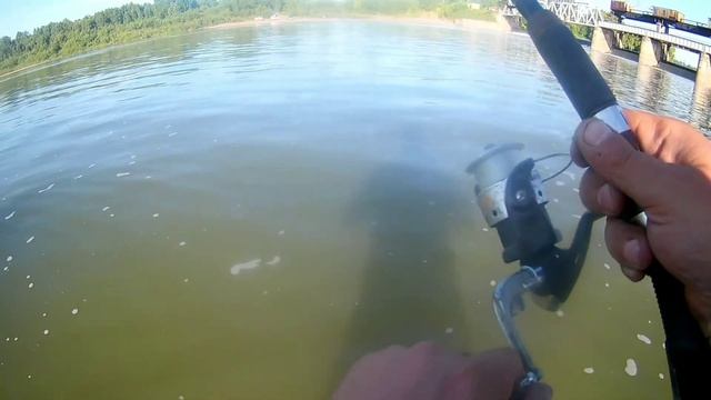 Китайский воблер не подвел отработал как всегда на 100%