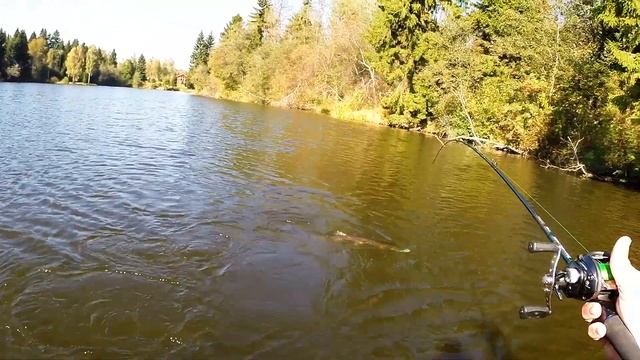 pike4 смотреть онлайн