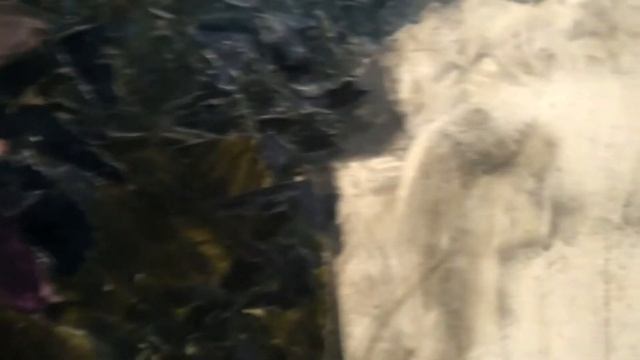 Третьяковская галлерея