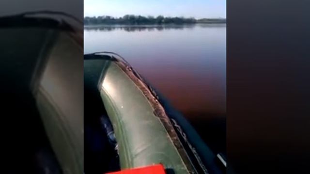 24 ноября 2015 г. смотреть онлайн