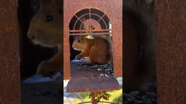 Арт-объект «Кормушка Русский дом»