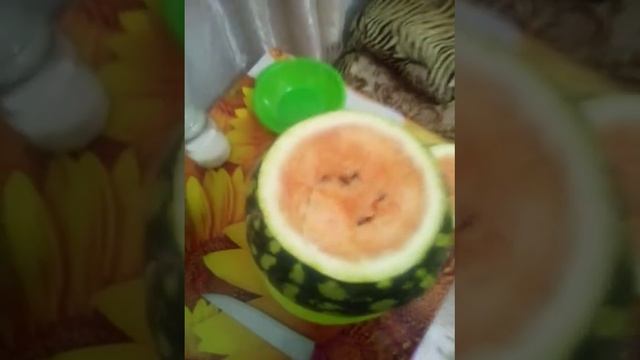 Арбузы можно есть и зимой.