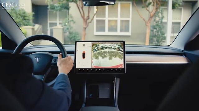 Capital Financial Management | CFM Limited - Tesla Inc. лидирует на фондовых рынках.