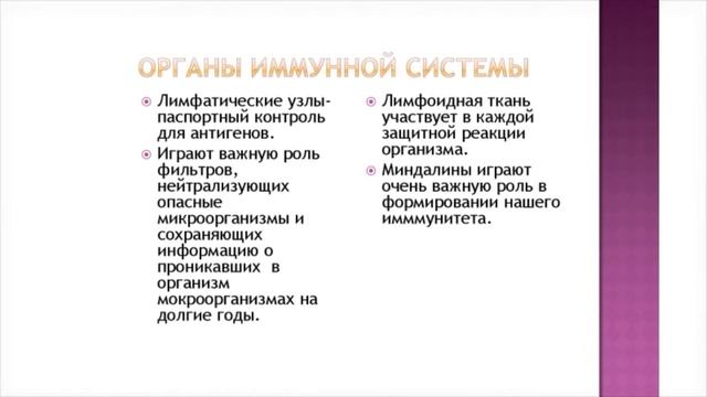 Все, что нужно знать про иммунитет смотреть онлайн