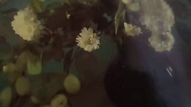 Белая дверь(В нарисованных джунглях нельзя заблудиться(наброски) смотреть онлайн