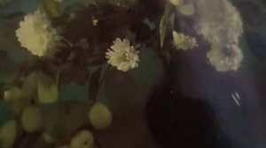 Белая дверь(В нарисованных джунглях нельзя заблудиться(наброски)