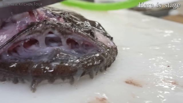 A Japanese Fishmonger Who Loves Motorcycles And Rock'n'roll！ Japanese Street Food 鯔背