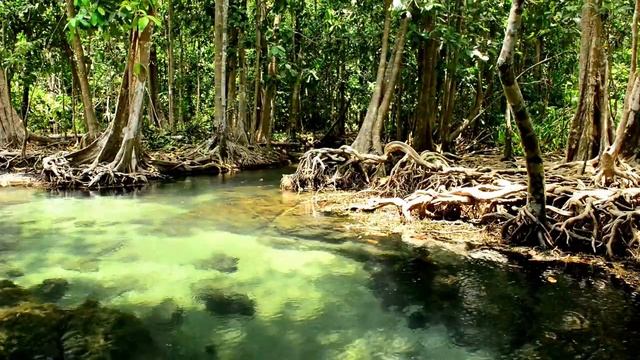 Музыка для Медитации