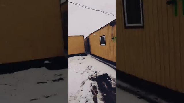 4 апрель 2020 йил Хабаровск смотреть онлайн