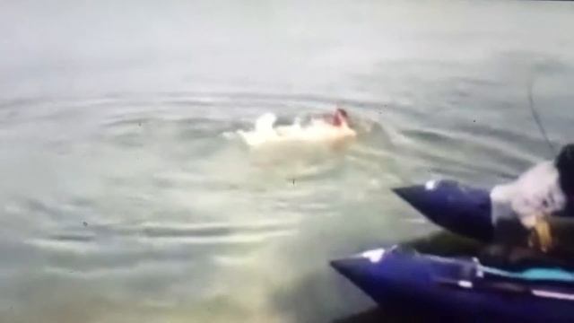 Суровая поклёвка!