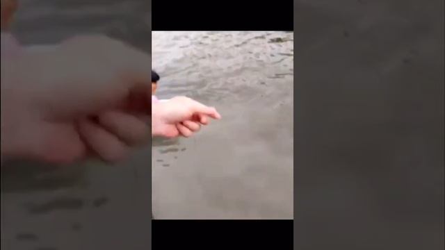 Автоподсекатель