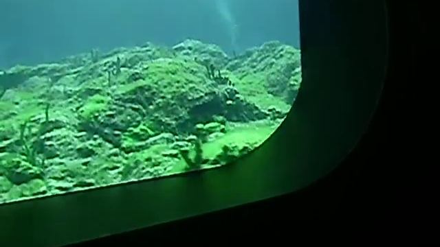 Музей Байкала Листвянка смотреть онлайн