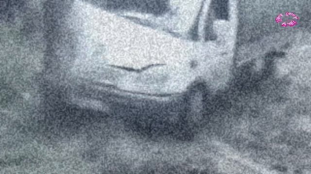 доказательство что оператор всегда жив