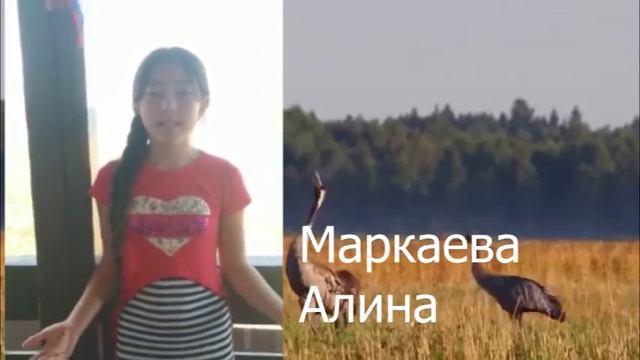 Театр юного актера " Дебют" смотреть онлайн