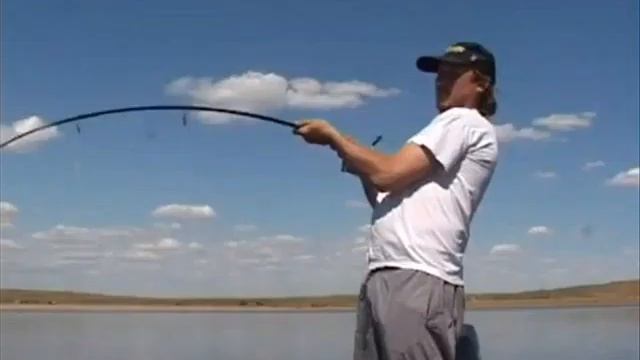 ловля сомов смотреть онлайн