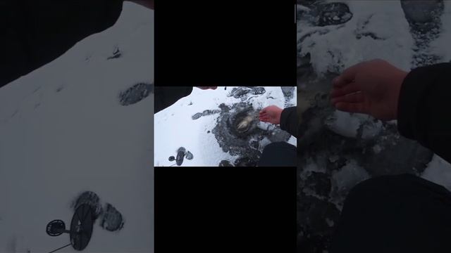 Началось! Бешеный жор щуки смотреть онлайн