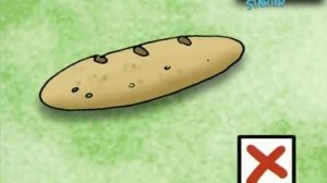 Spotlight Starter My Food! Урок 4